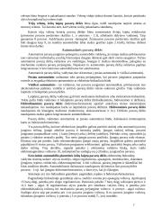 Automobiliai ir pagrindinės jų dalys 7 puslapis