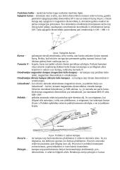 Aviacijos navigacijos pradmenys 3 puslapis