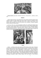 Baroko stiliaus raidos etapai: ankstyvasis, brandusis, vėlyvasis 3 puslapis