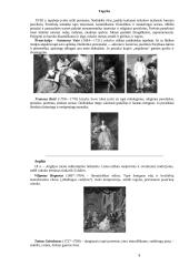 Baroko stiliaus raidos etapai: ankstyvasis, brandusis, vėlyvasis 8 puslapis