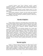 Barokas (XVIa. pab. – XVIIIa. vid.) 5 puslapis