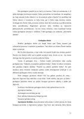 Bendroji geologija 11 puslapis