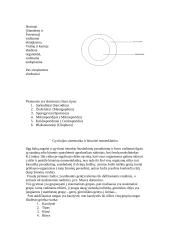 Zoologijos mokslo šakos istorija 3 puslapis