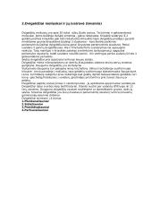 Bestuburių teorija 2 puslapis