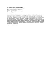 Bestuburių teorija 13 puslapis