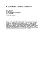 Bestuburių teorija 9 puslapis