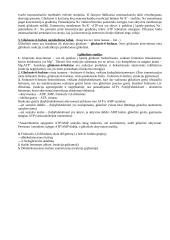 Biochemijos mokslo teorija 2 puslapis