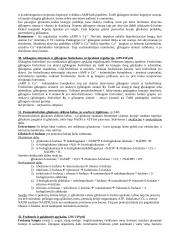 Biochemijos mokslo teorija 14 puslapis