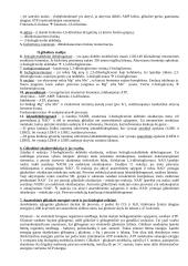 Biochemijos mokslo teorija 4 puslapis