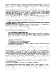 Biochemijos mokslo teorija 6 puslapis