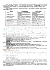 Buhalterinės apskaitos pradmenys 2 puslapis