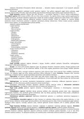 Buhalterinės apskaitos pradmenys 17 puslapis