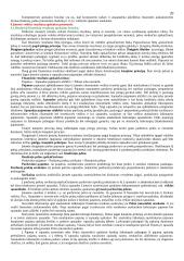 Buhalterinės apskaitos pradmenys 20 puslapis