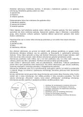 Buhalterinė apskaita - informacijos rinkimo ir apibendrinimo sistema 2 puslapis