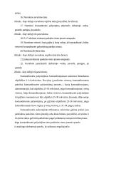 Buhalterinių dokumentų pildymo klaidos 13 puslapis