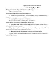 Buhalterinių dokumentų pildymo klaidos 7 puslapis