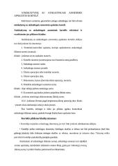 Buhalterinių dokumentų pildymo klaidos 9 puslapis