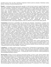 Citologijos pagrindai 2 puslapis