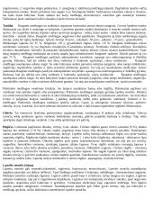 Citologijos pagrindai 6 puslapis