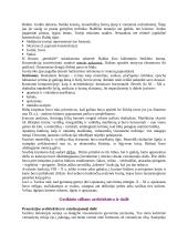 Dailės istorija 11 puslapis