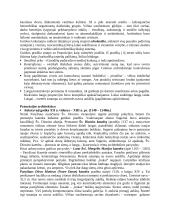 Dailės istorija 12 puslapis