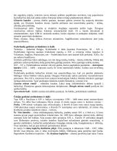 Dailės istorija 17 puslapis