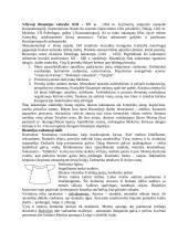 Dailės istorija 4 puslapis