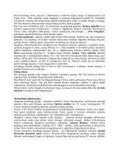 Dailės istorija 6 puslapis