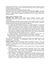 Dailės istorija 9 puslapis