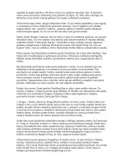 Dantė "Dieviškoji komedija" - aprašymas 2 puslapis