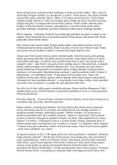 Dantė "Dieviškoji komedija" - aprašymas 4 puslapis