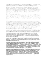 Dantė "Dieviškoji komedija" - aprašymas 6 puslapis