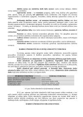 Darbo ištekliai 5 puslapis