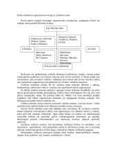 Darbo organizavimo pagrindai