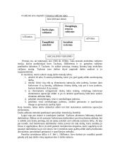 Darbo organizavimo pagrindai 2 puslapis