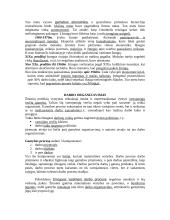 Darbo organizavimo pagrindai 5 puslapis