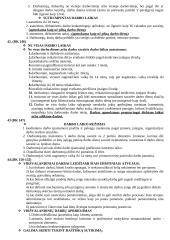 Darbo teisės pradmenys 10 puslapis