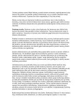 Įvadas į darbo teisę 19 puslapis