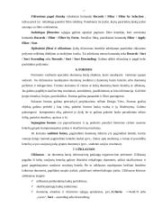 Duomenų bazių (DB) technologijos 7 puslapis