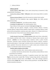 Duomenų bazių (DB) technologijos 8 puslapis