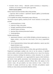 Didaktikos teorija 11 puslapis