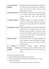 Didaktikos teorija 15 puslapis