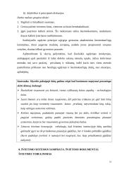 Didaktikos teorija 16 puslapis