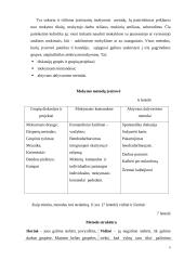 Didaktikos teorija 4 puslapis