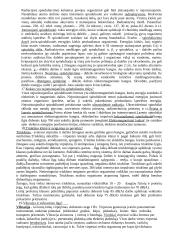 Ekologijos raida 4 puslapis