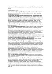 Ekonomikos pasiruošimas 2 puslapis