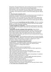 Ekonomikos pasiruošimas 5 puslapis