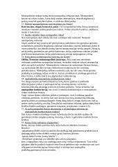 Ekonomikos pasiruošimas 6 puslapis