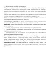 Ekonomikos teorijos metodai 15 puslapis