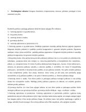 Ekonomikos teorijos metodai 17 puslapis